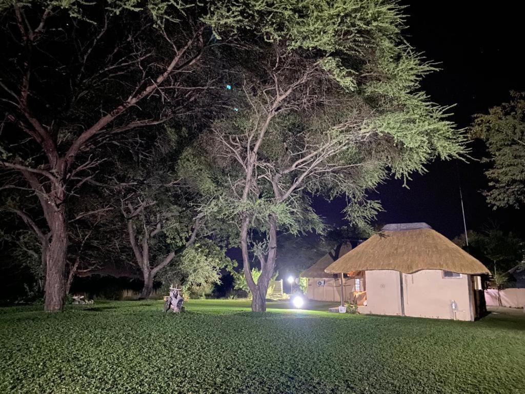 Big 5 Toro Lodge Kasane Exterior foto